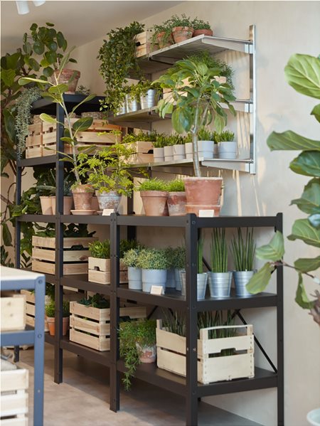 Αποθήκευση & παρουσίαση