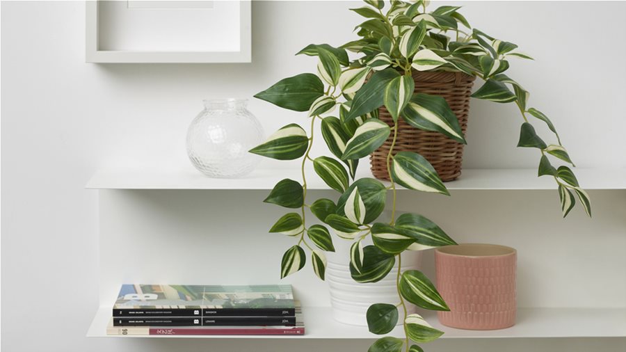 See the FEJKA collection